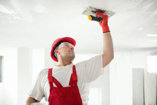 Best Indoor Air Quality Assessment  in Kenyon, MN