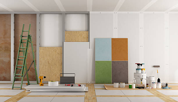 Best Mold Odor Removal Services  in Kenyon, MN