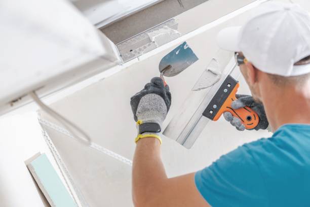 Best Comprehensive Air Testing for Mold Contaminants  in Kenyon, MN